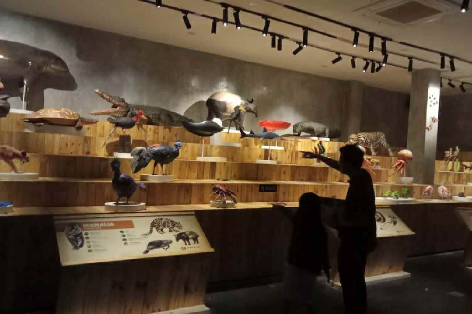 Animalium BRIN, Rekomendasi Destinasi Field Trip Sekolah