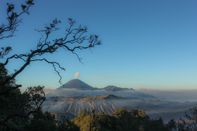 Wisata Bromo,  Surga Panorama Jawa yang Selalu Enak Dipandang (2) Medium.png