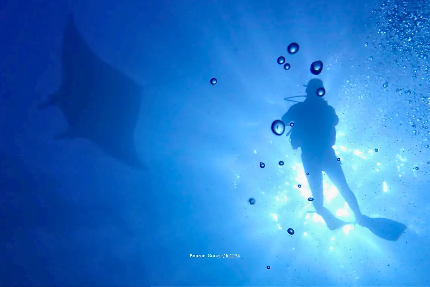Manta Point.webp
