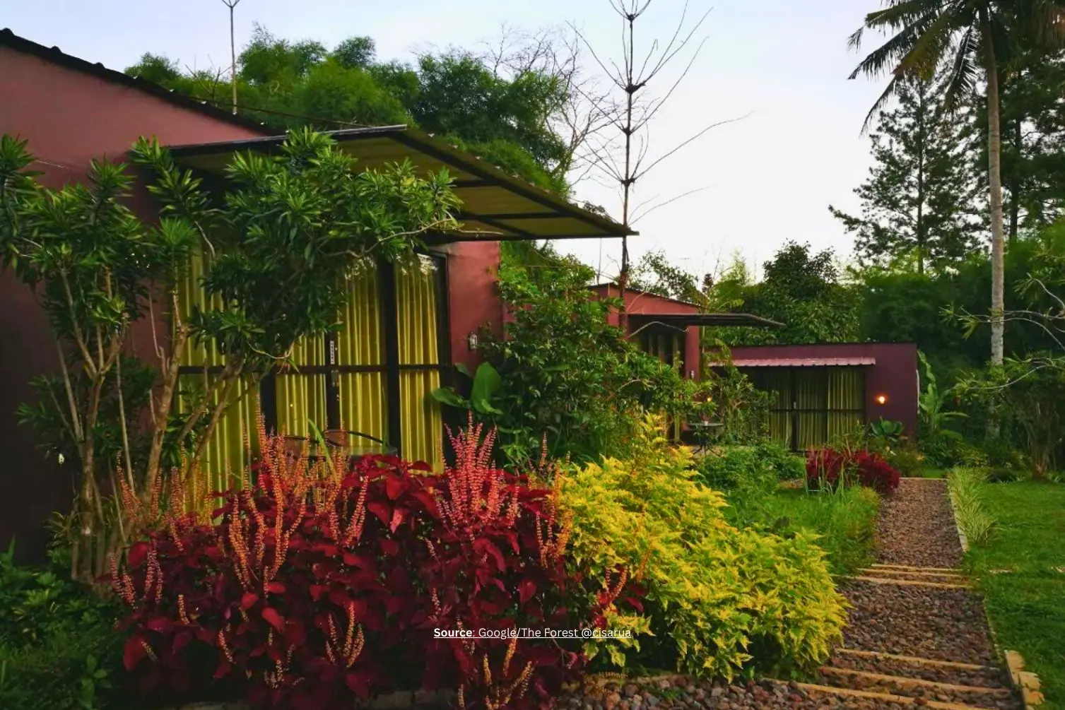 The Forest Cisarua Resort.webp