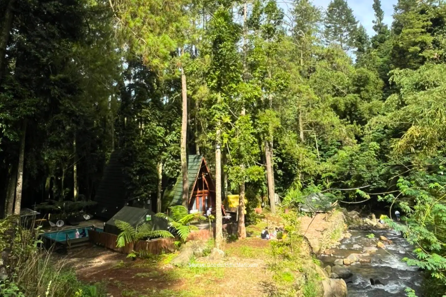 Wonderful Citamiang.webp