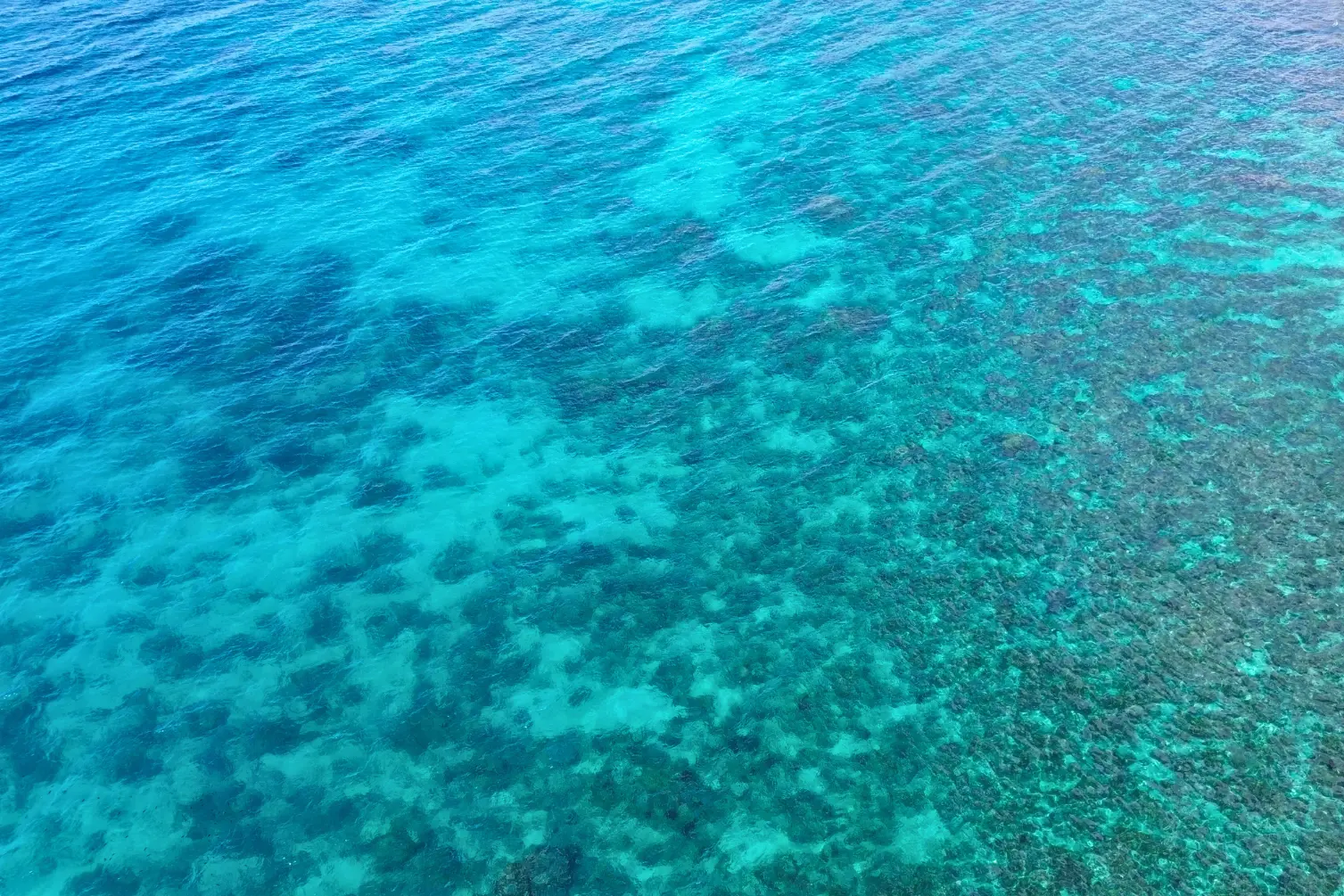 Pantai Paal Liputan memiliki air laut yang jernih dengan warna gradasi biru kehijauan