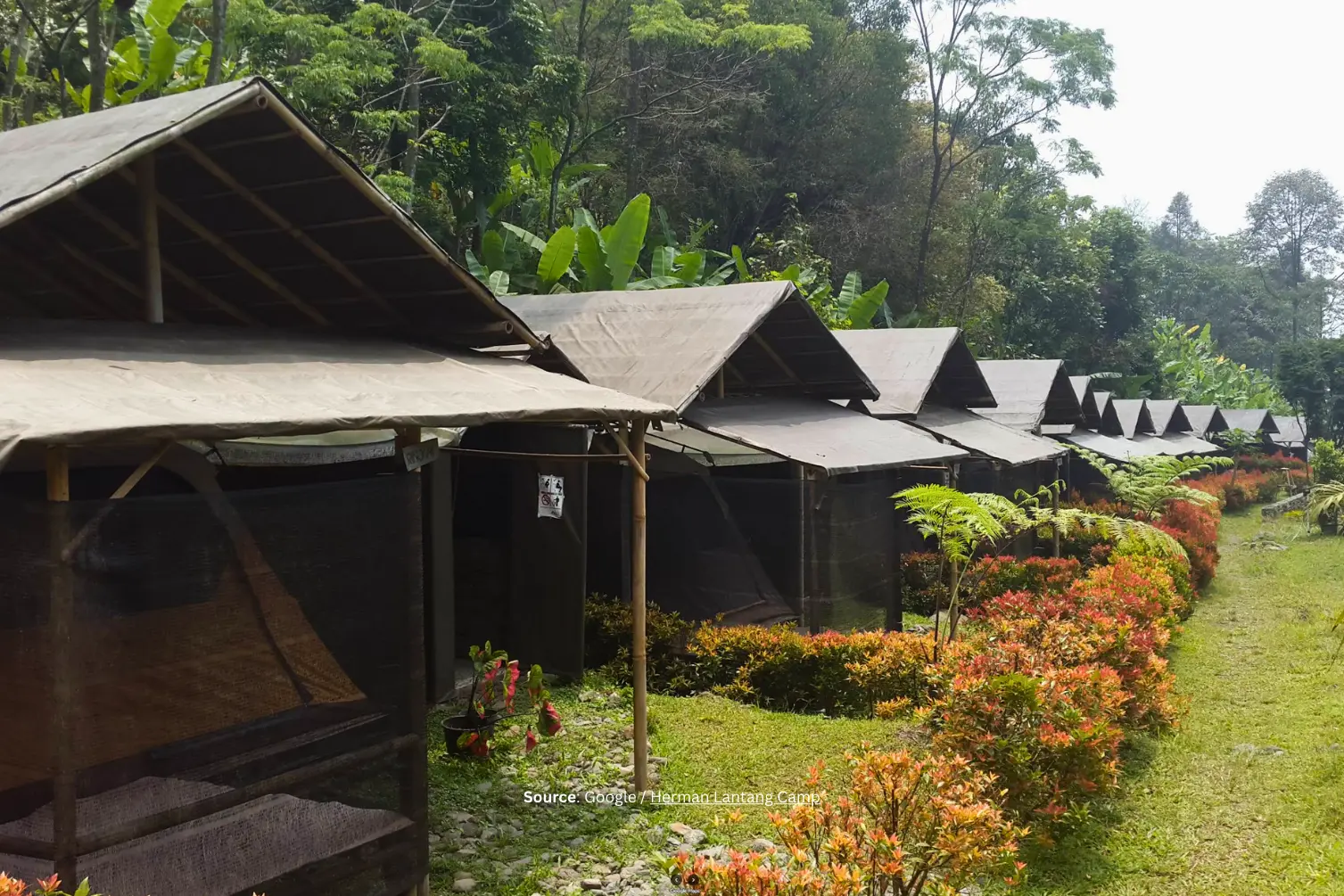 Herman Lantang Camp.webp