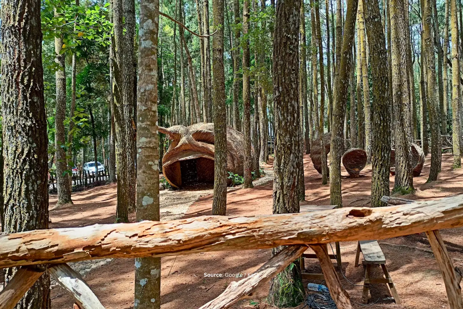 Hutan Pinus Mangunan.webp