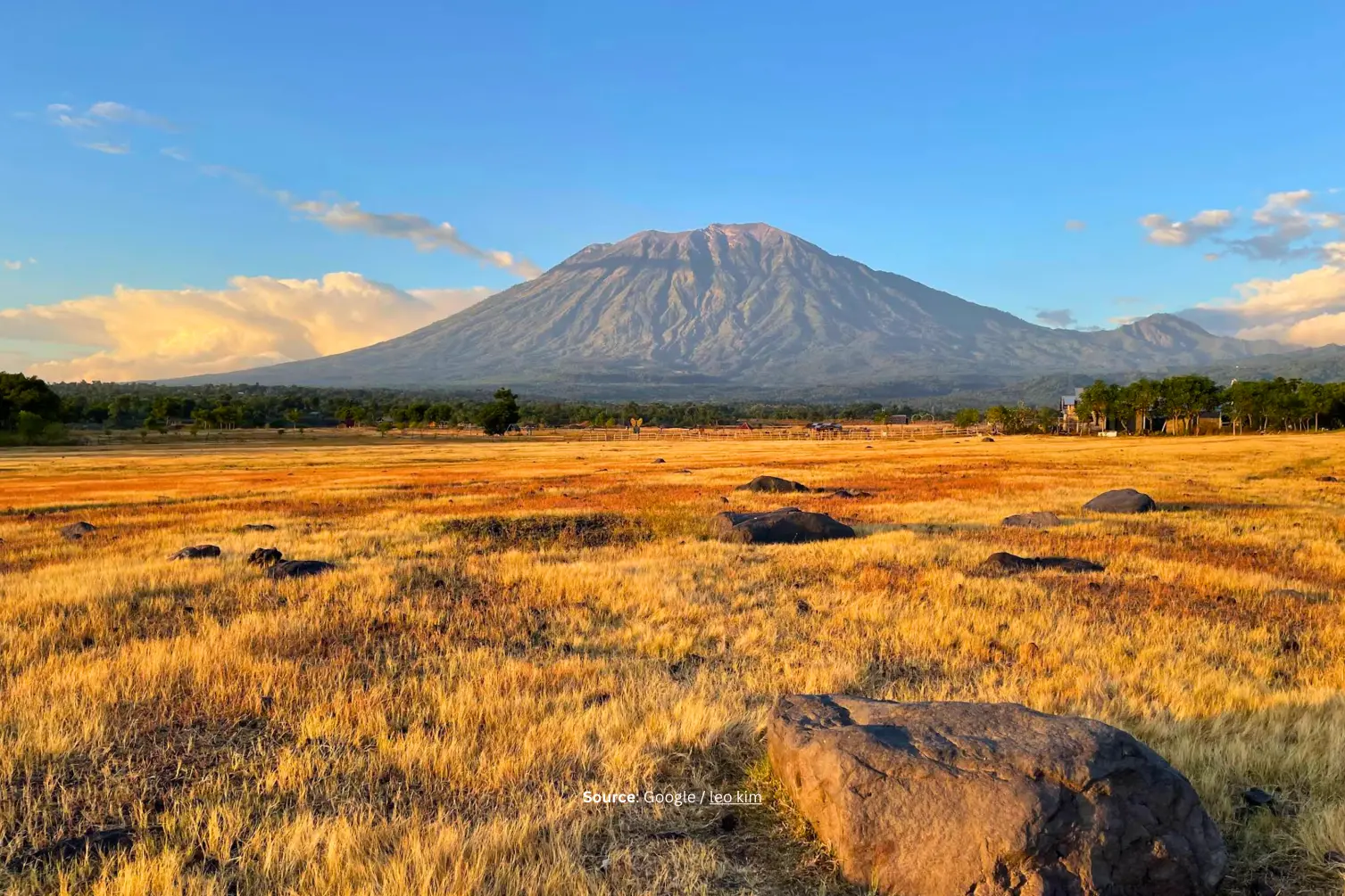 Savana Tianyar.webp