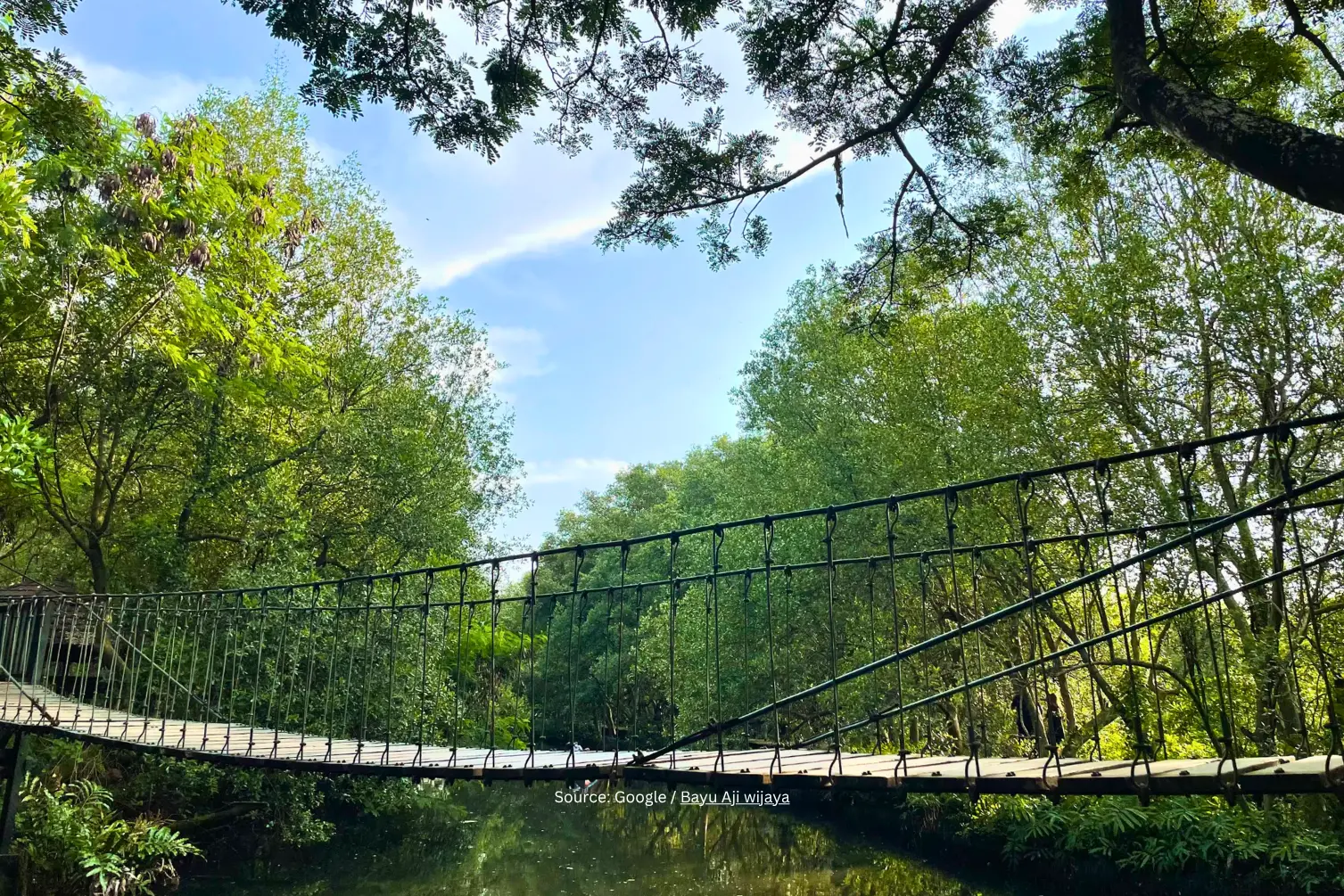 Taman Wisata Alam Angke Kapuk, Jakarta.webp