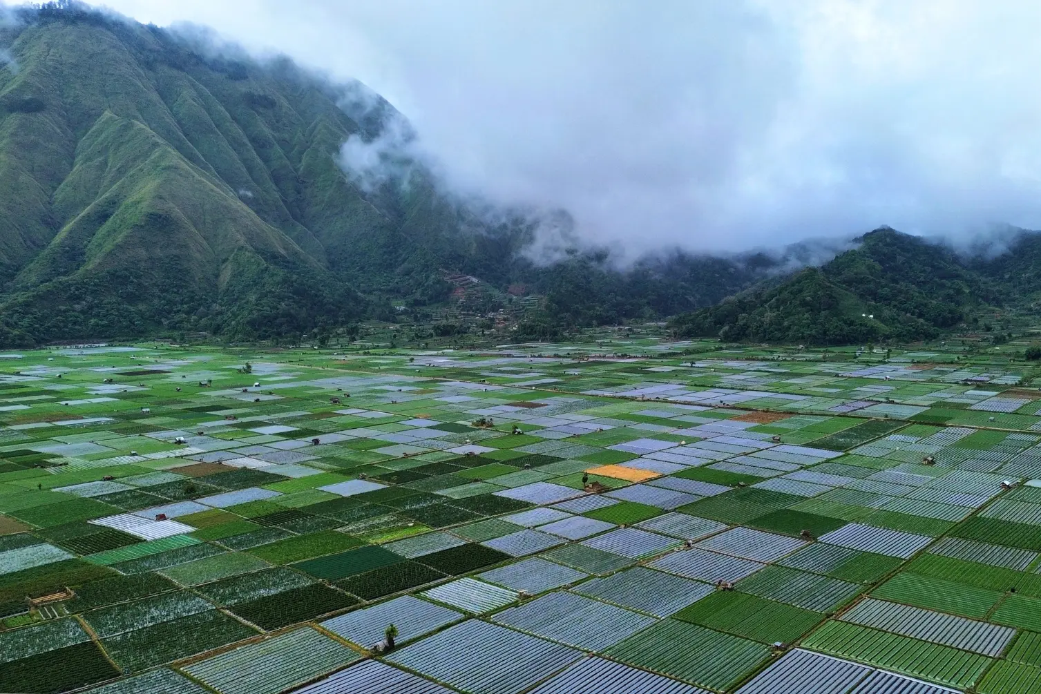 Desa Sembalun, Lombok.webp