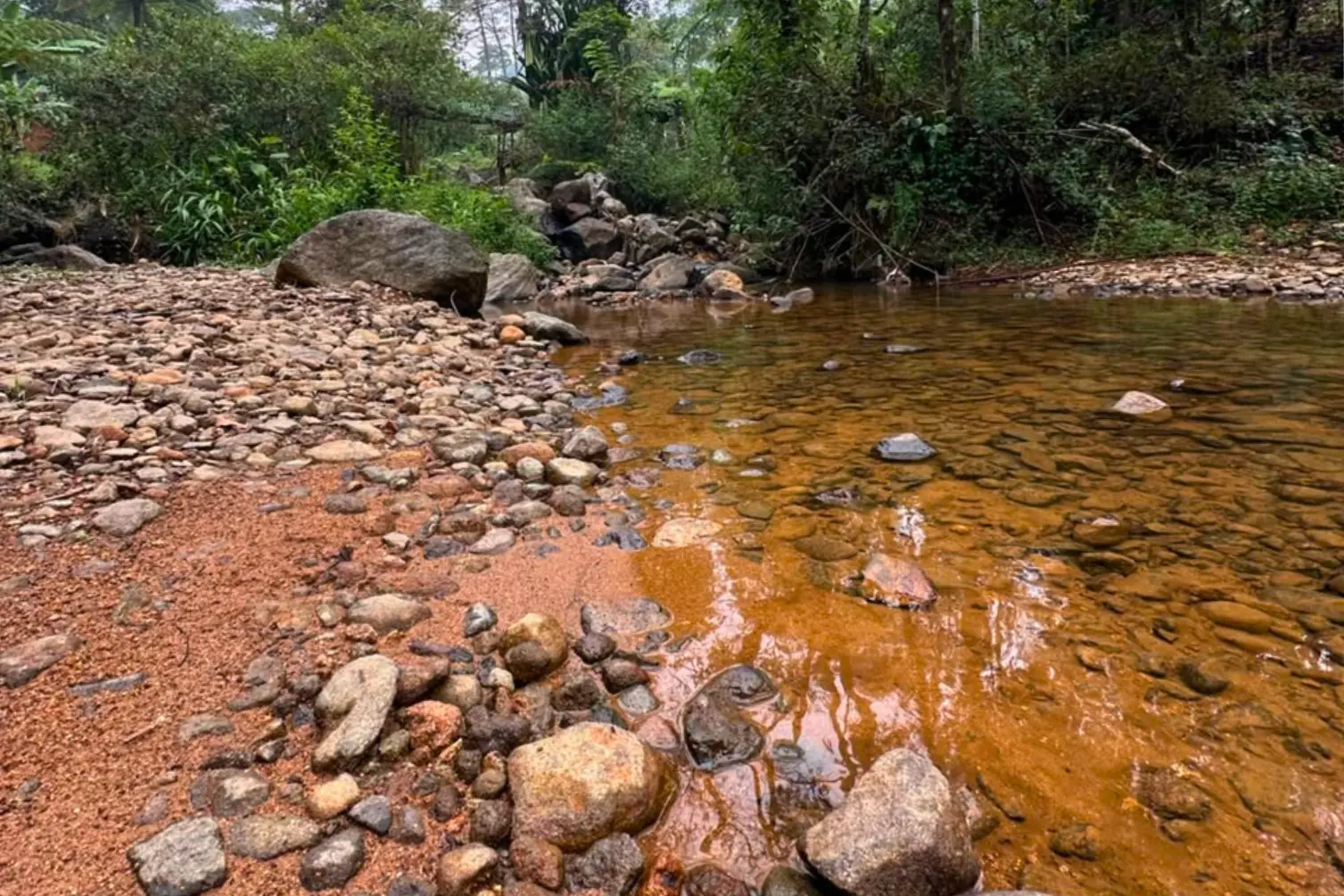 Aliran Sungai di Jalur Trekking Cisadon Sentul.webp